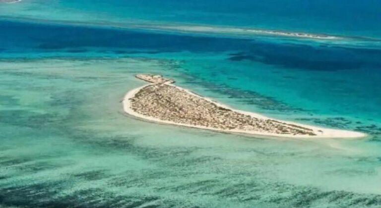 PIF’s Cruise Saudi outlines port development plans, hires senior staff