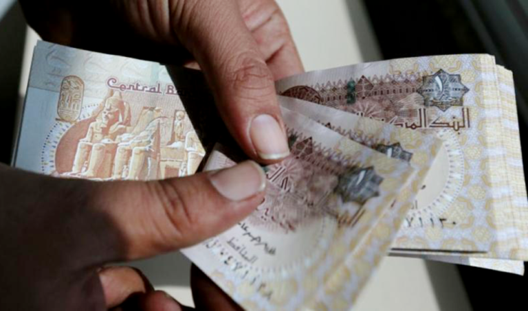 Egypt’s sovereign fund invests EGP250 million into education