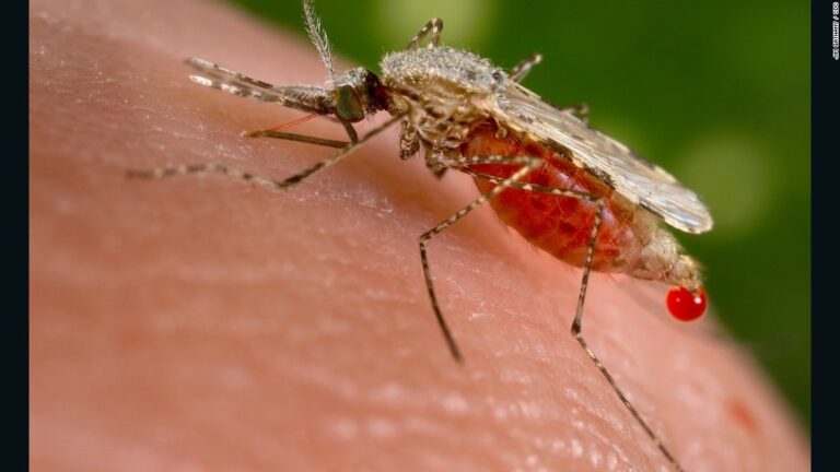 Breakthrough as highly effective malaria vaccine raises hopes of controlling disease