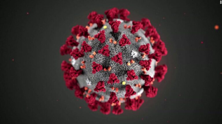 Babies and mothers have died due to the pandemic