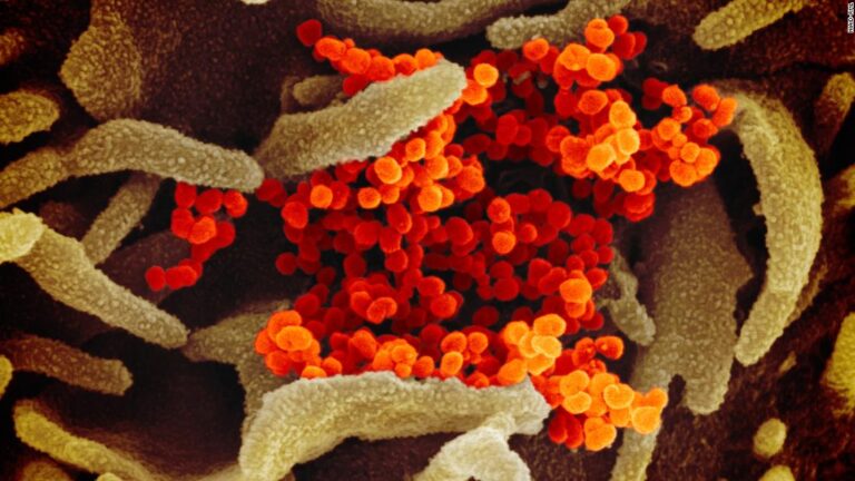 Live updates: Nearly 40% of Marines have declined vaccine