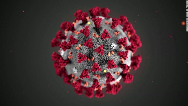 Talks underway between EU and US regarding a possible ‘vaccine passport’