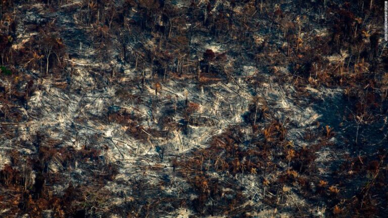 Brazil has unveiled its plan to protect the Amazon. Critics say it’s not enough