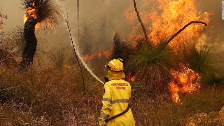 Australia marks quietest fire season in a decade