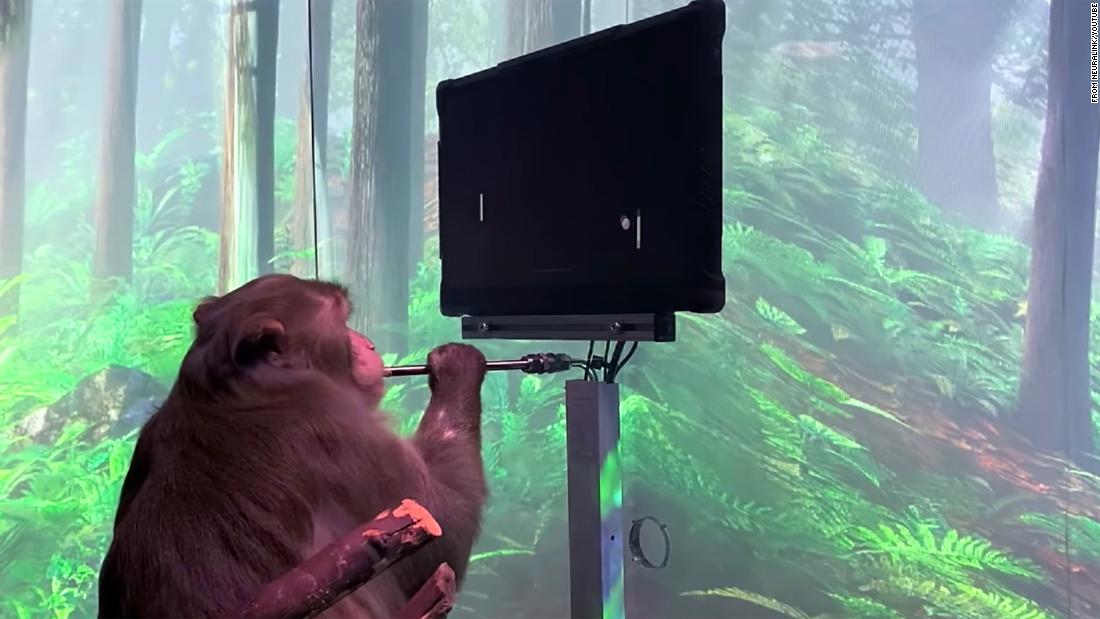 Elon Musks Neuralink Claims Monkeys Can Play Pong Using Just Their