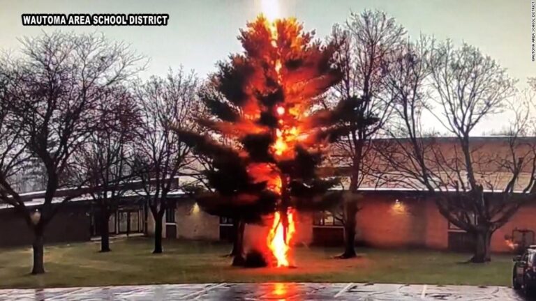 Video shows lightning shatter a tree outside of a Wisconsin high school