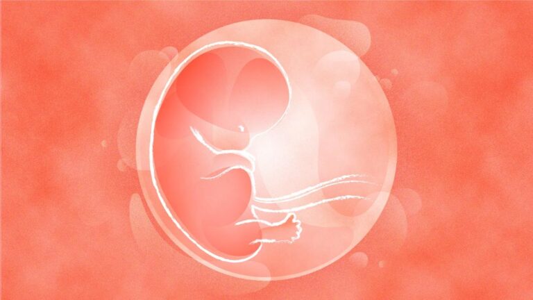 Cryo-robots could help prevent catastrophic losses of IVF eggs and embryos