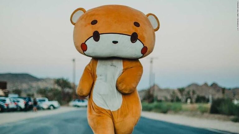 Meet Bearsun, the real-life teddy bear on a journey from Los Angeles to San Francisco