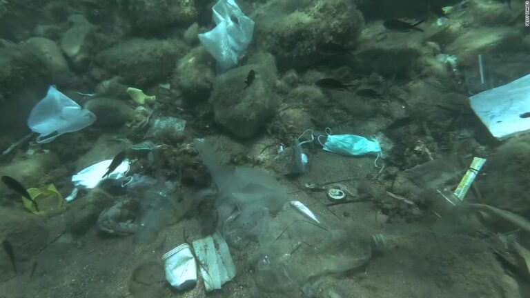 Discarded PPE filling up landfills and oceans