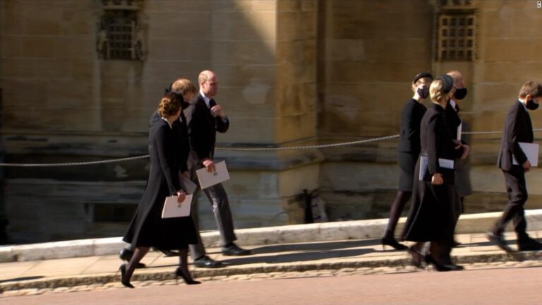 See ‘enormously important’ images of princes at funeral