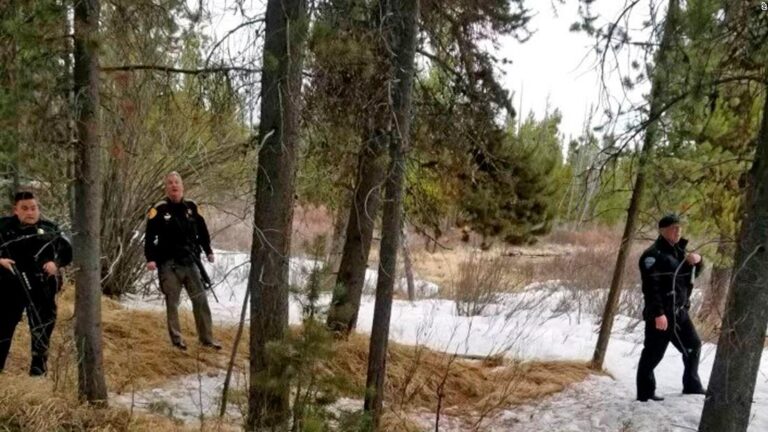 Backcountry guide mauled to death while fishing near Yellowstone National Park