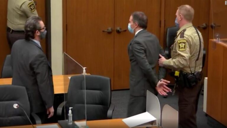 Why Derek Chauvin was convicted of murder when so many other officers are not