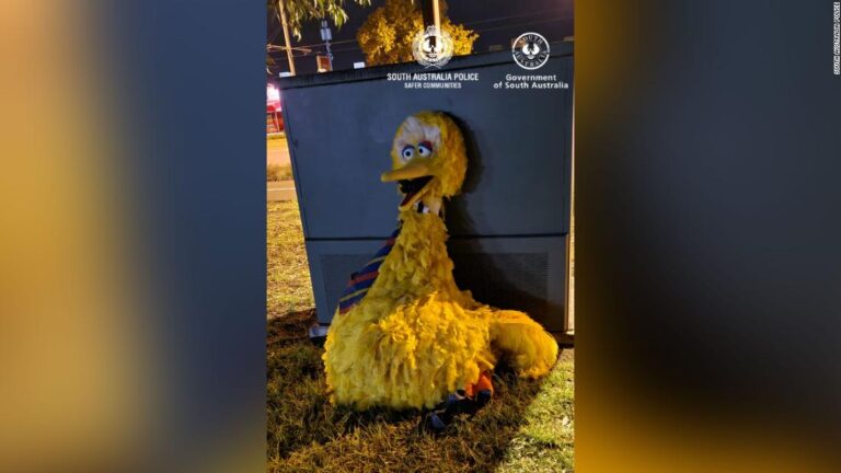 Police hunting ‘Big Bird Bandits’ who allegedly stole ‘Sesame Street’ costume make arrests