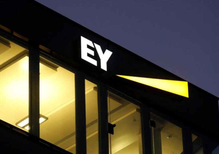 Contractor DSI swings to profit but auditor highlights $1.3bn in accumulated losses