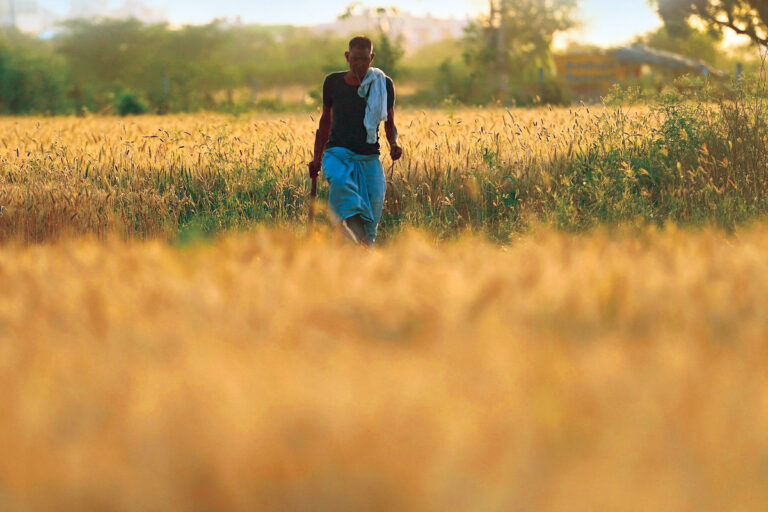 World food price index rises in March for 10th month running