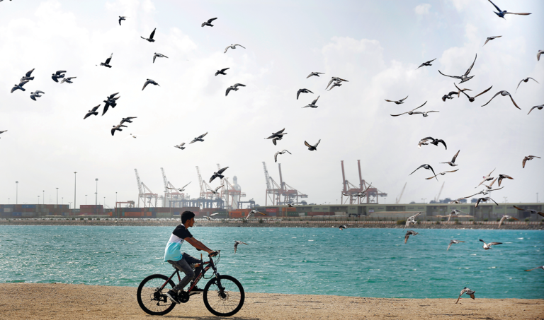 Oil ‘supercycle’ not on the cards: Energy experts