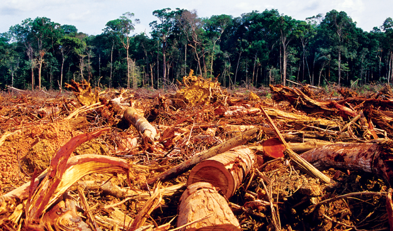 Brazil needs $10bn a year in aid for carbon neutrality by 2050