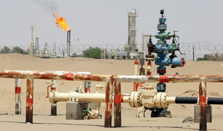 Oil broadly steady as rising India COVID-19 cases weigh