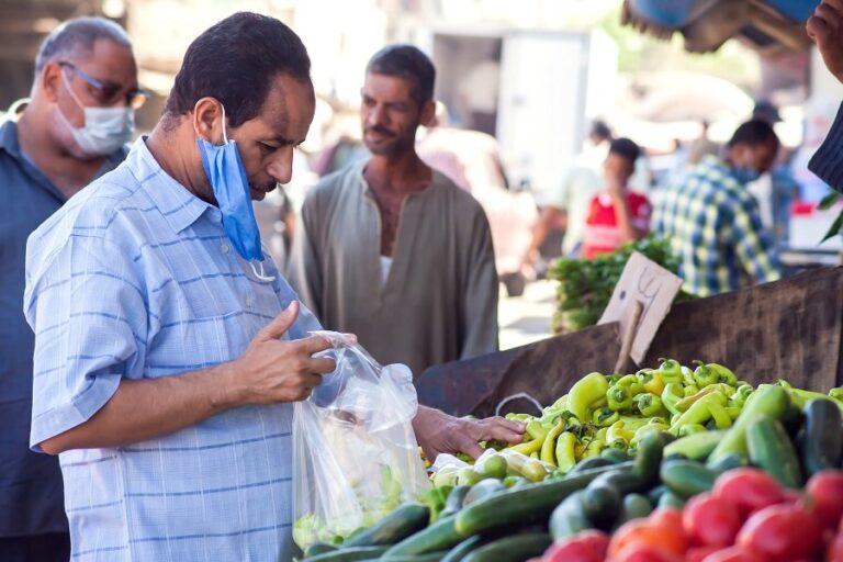 Egypt expects to raise tax revenues, lower fuel subsidy bill