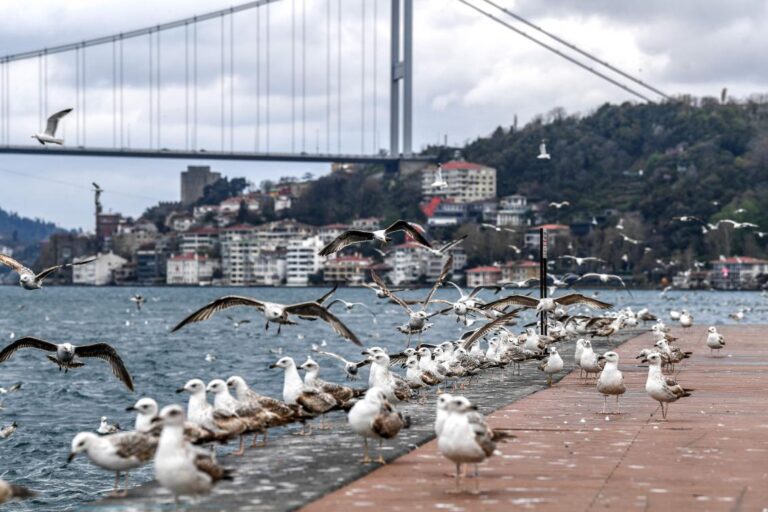 Turkey said to mull tighter lockdown in bid to save tourism season