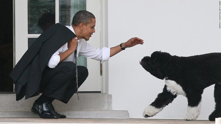 Obamas announce family dog Bo has died