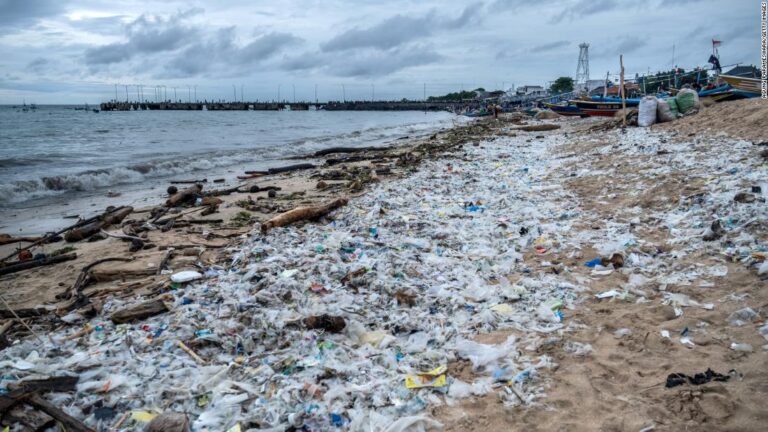 Half the world’s single-use plastic waste produced by just 20 companies