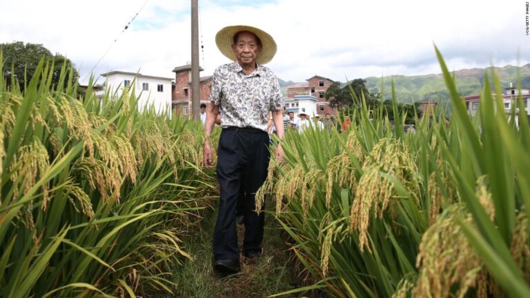 China mourns a beloved scientist who saved millions from hunger — and detains those who insult him