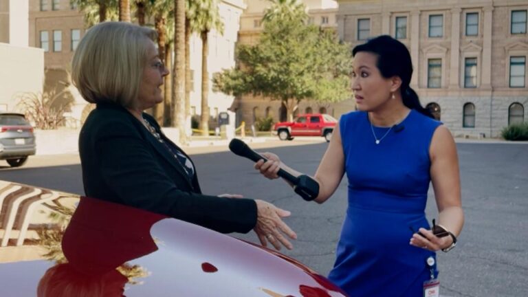 CNN confronts woman behind bogus audit in Arizona