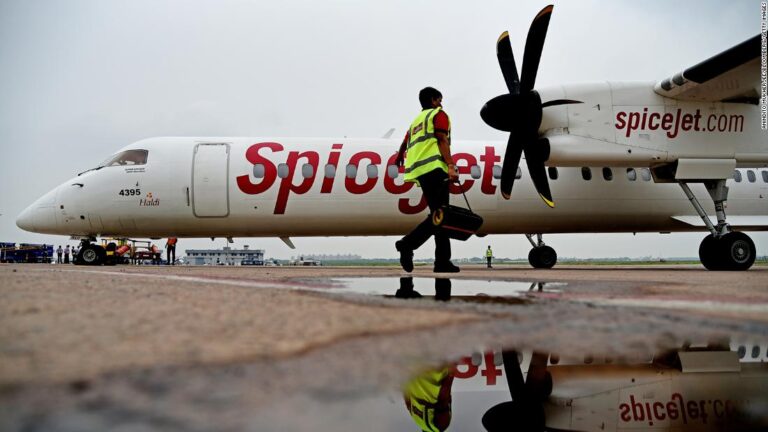 Indian couple under investigation for mid-flight wedding