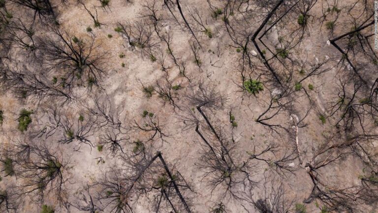 It’s getting more likely the world will reach a climate tipping point in the next five years