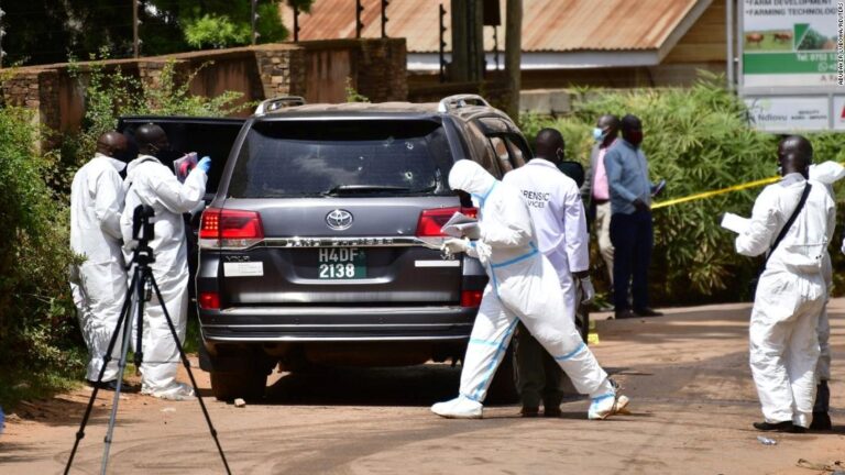 Gunmen kill Ugandan minister’s daughter and driver in ‘targeted shooting’