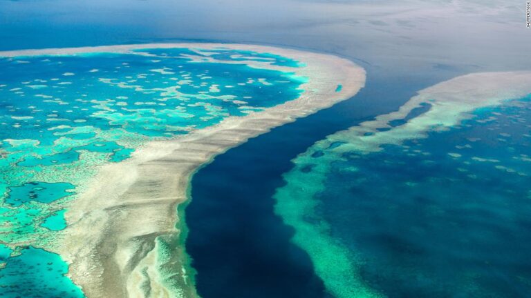 The Great Barrier Reef is in ‘danger,’ UN says. Australia disagrees