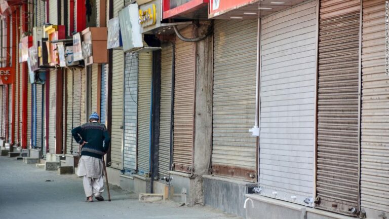 India’s excess deaths during Covid may number in the millions, study finds