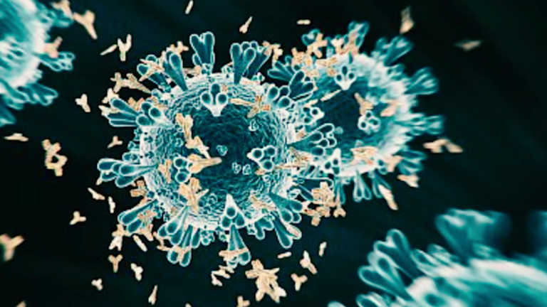 Unvaccinated people are ‘variant factories,’ infectious diseases expert says