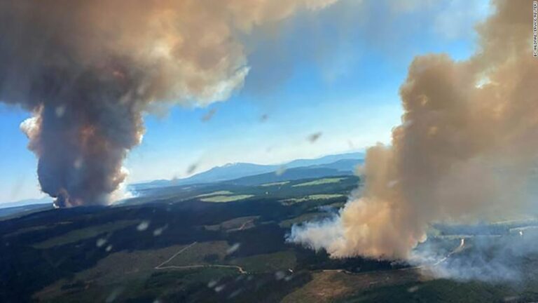 Unprecedented heat, hundreds dead and a town destroyed. Climate change is frying the Northern Hemisphere