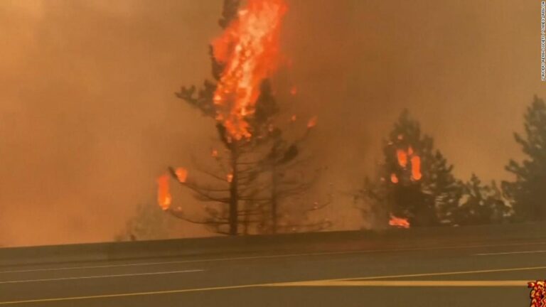 Climate change is frying the Northern Hemisphere