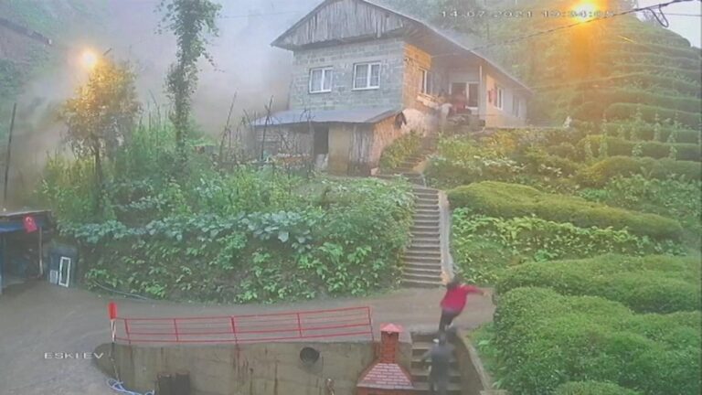 CCTV footage shows family narrowly escaping mudslide