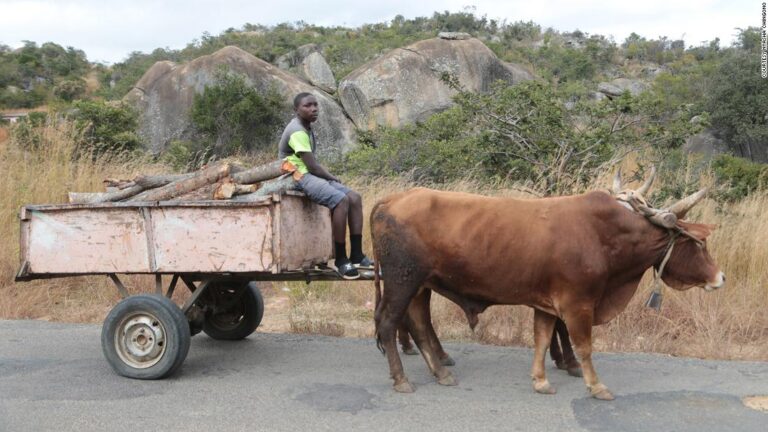 Zimbabwe’s rural areas are being hit hard by Covid