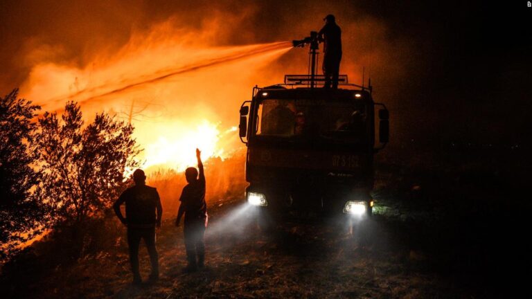 ‘The animals are on fire,’ say devastated farmers as wildfires sweep Turkey
