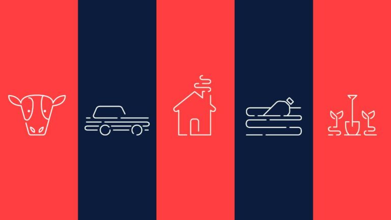 How to save the planet: Five simple things you can do