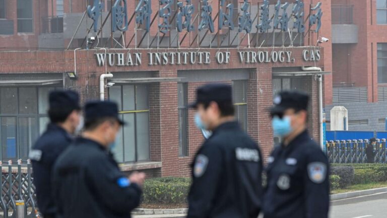 Exclusive: Intel agencies scour reams of genetic data from Wuhan lab in Covid origins hunt