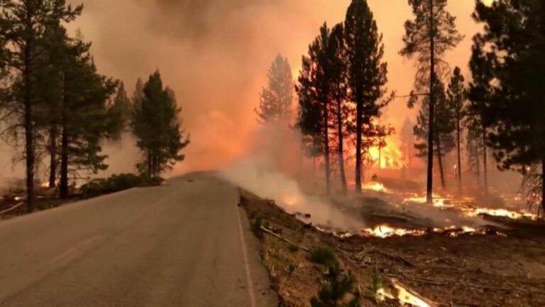 The link between extreme weather and climate change