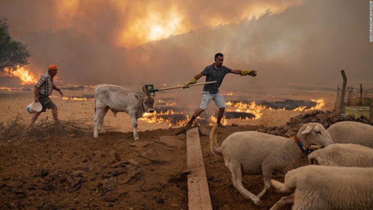 Brutal heatwave scorches southern Europe as continent’s summer of extreme weather rages on