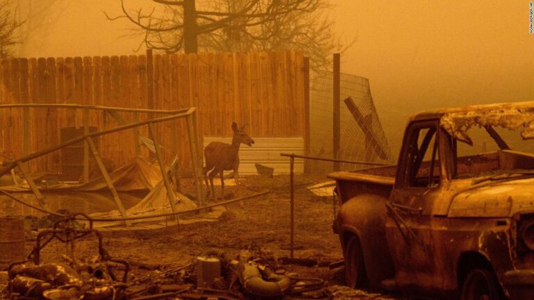 Thousands of California residents are ordered to evacuate as the Dixie Fire nears 500,000 acres