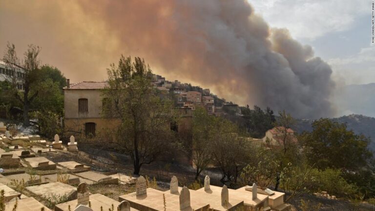 Wildfire rips through Algeria, killing 42 people including soldiers