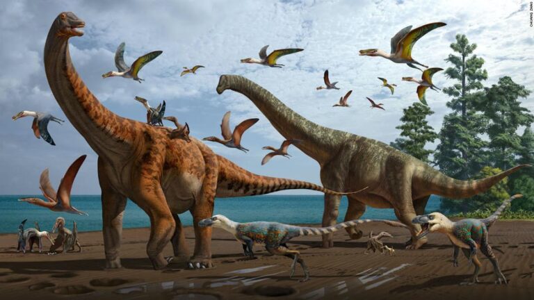 Two new dinosaur species, as big as a blue whale, discovered