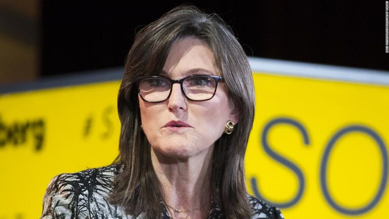 Wall Street’s hottest investor is betting big on a handful of stocks. Critics say she’s playing with fire