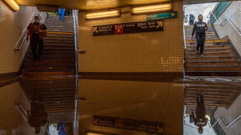 This is what happens to all the rats when cities flood