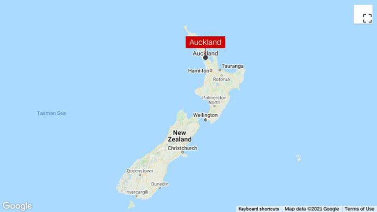 New Zealand attacker shot dead in Auckland shopping mall