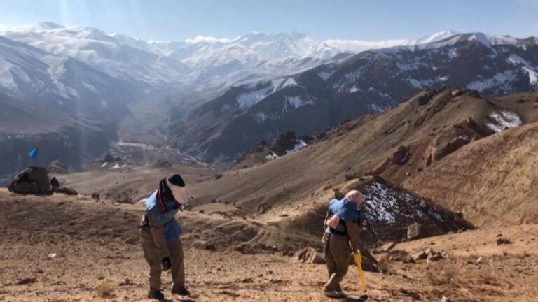 The Taliban is asking for help locating explosives they laid